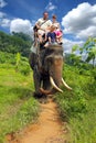 Riding an elephant. A young family with a child ride an elephant