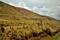 Riding in the fields