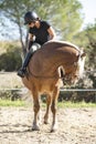 Riding girl and comtois horse