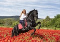 Riding girl and horse Royalty Free Stock Photo