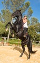 Riding girl on stallion