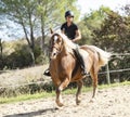 Riding girl and comtois horse