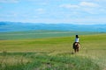 Riding horse in grassland