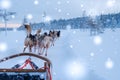 Riding husky sledge in Lapland landscape