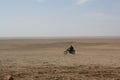 Riding the motorcycle in the middle of nowhere, Gobi Desert, Mongolia.
