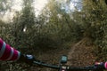 Riding a mountain bike handle bar point of view while chasing other riders on narrow single track in the middle of a green forest Royalty Free Stock Photo