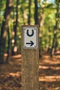 Riding path sign in the woods Royalty Free Stock Photo