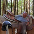 riding saddle and horse with nature background-