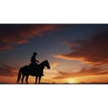 Riding into the sunset: the majestic journey of a man on horseback