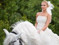 Riding to meet her white knight on the special day. A gorgeous young bride riding a white horse on her wedding day. Royalty Free Stock Photo