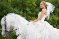 Riding to meet her white knight on the special day. A gorgeous young bride riding a white horse on her wedding day. Royalty Free Stock Photo