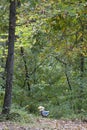 Riding toy in the forest Royalty Free Stock Photo