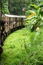 Riding by train the scenic mountain track from Nuwarelia to Colo