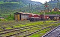 Riding by train the scenic mountain Royalty Free Stock Photo