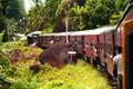 Riding by train the scenic mountain track