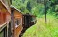 Riding by train in Sri Lanka Royalty Free Stock Photo