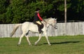 Little girl horse back riding her pony Royalty Free Stock Photo