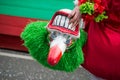 People parading in the street with mask and green wig in hand before the carnival