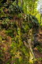 Rieger Trail, Bohemian Paradise, Cesky Raj, Czech Republic