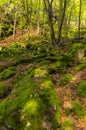 Rieger Trail, Bohemian Paradise, Cesky Raj, Czech Republic