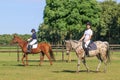 Two youn girls riding a horse in a green meadow with trees.