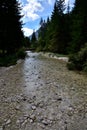 Alpine river in the valley