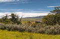 Landscape of ranch land with bushes at Posada Estancia Rio Verde, Riesco Island,, Chile