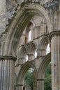 Rievaulx Abbey