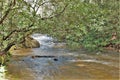 Riffles along Bullhead Creek in North Carolina Royalty Free Stock Photo