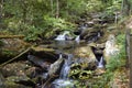 Riffles at Anna Ruby Falls creek Royalty Free Stock Photo