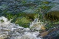 Riffles Flowing Over Moss Covered Rocks