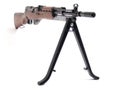 Rifle 8 Royalty Free Stock Photo