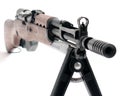 Rifle 9 Royalty Free Stock Photo