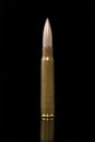 Rifle Ammunition Royalty Free Stock Photo