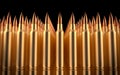 Rifle bullets lined in formation