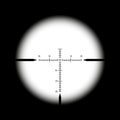 Rifle optical sight