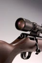 rifle with scope