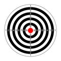 Rifle target vector