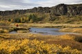 Rift valley at Pingvellir in Iceland Royalty Free Stock Photo