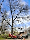 Riga city park maintenance services take care of city trees by cutting branches