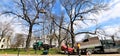 Riga city park maintenance services take care of city trees by cutting branches