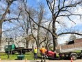 Riga city park maintenance services take care of city trees by cutting branches