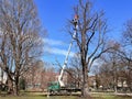 Riga city park maintenance services take care of city trees