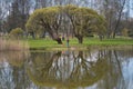 Riga, Latvia. April 10, 2021: Man at the fishing spot between two big trees trying to catch some fish in the city park pond during