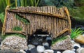 Dark green, black young Axolotl in a ceramic brown house