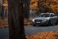 Riga, Latvia-October 6, 2021: Audi A8 driving on the city street during the beautiful autumn