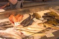 Riga, Latvia - October 28, 2019: Fresh fish at Riga Central Market. Raw fish on ice at the Fish Market in Riga, Latvia Royalty Free Stock Photo