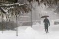 Heavy snowfall in Riga city