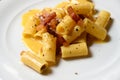 Rigatoni Carbonara Pasta Roman Style