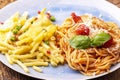 Rigatoni emiliana and spaghetti
